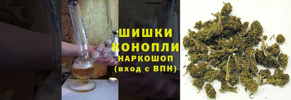PSILOCYBIN Алзамай