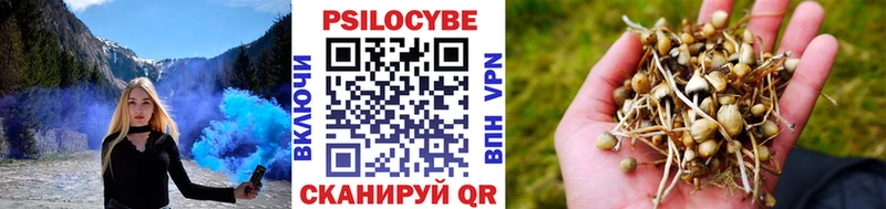 Галлюциногенные грибы Psilocybine cubensis  Нурлат 